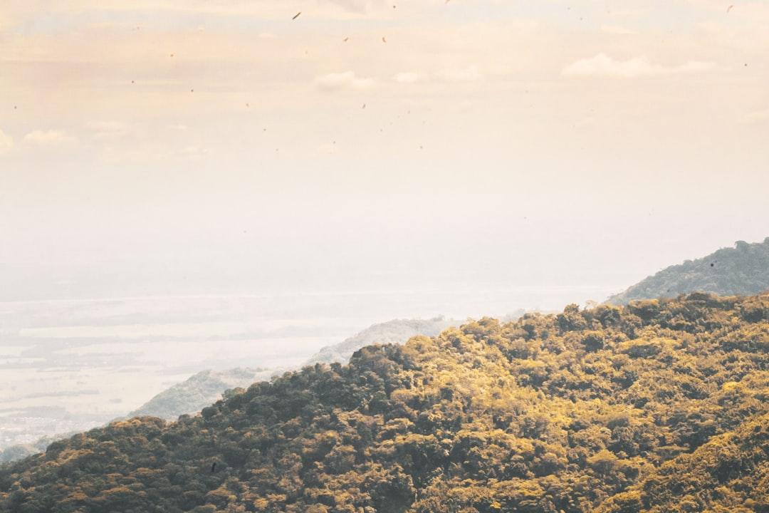 brown and black rock formation near body of water during daytime Phản hồi về Hướng dẫn Điều trị Đau cột sống xâm lấn của BMJ năm 2025: Góc nhìn đa chiều